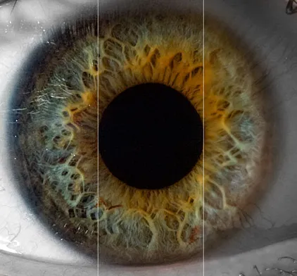 The effect of sharpening